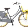 Popal Daily Dutch Basic Season - 26 Inch - Meisjesfiets - Transport - Grijs Geel